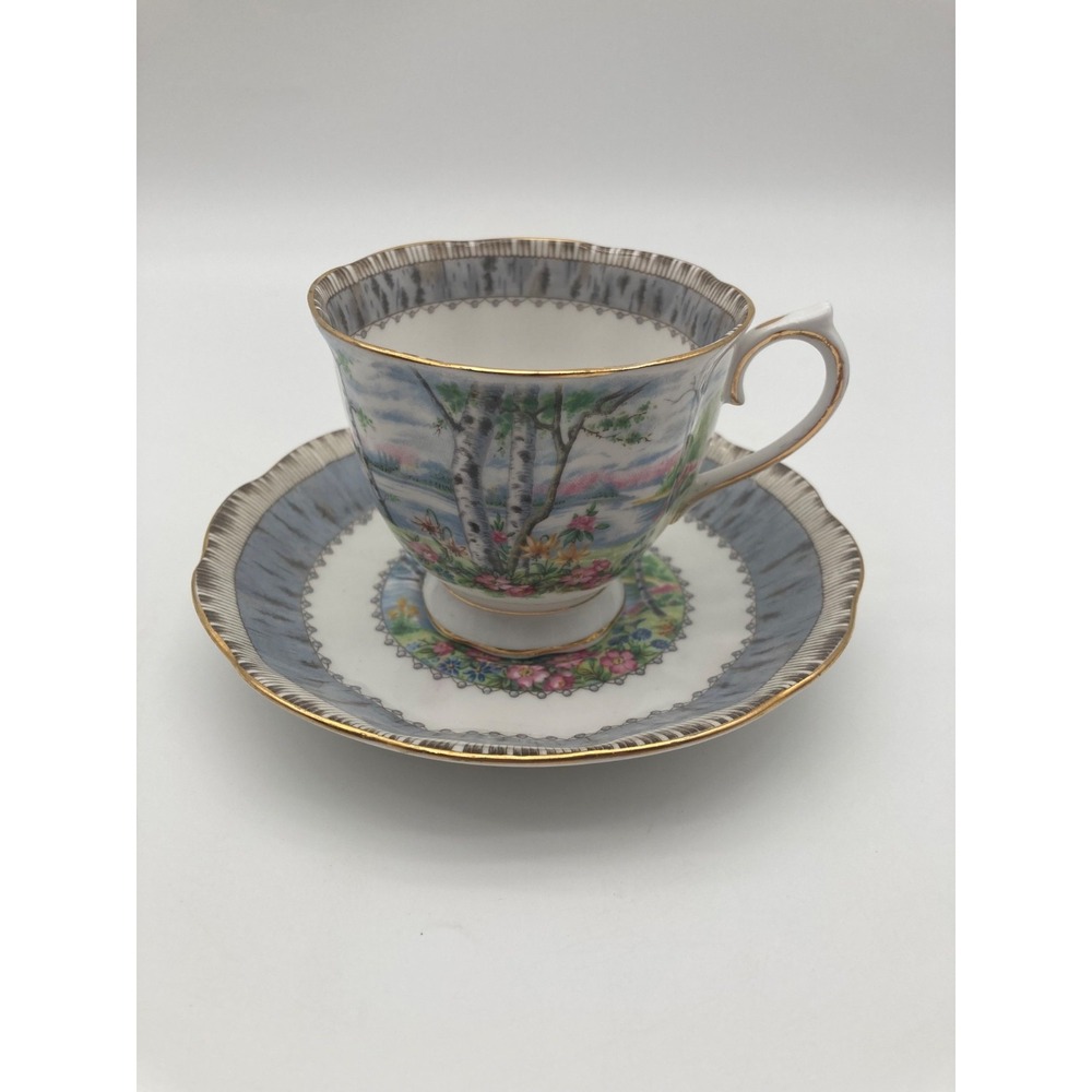 Vintage Royal Albert Bone China Teacup Saucer Set Silver Birch Lake Scene